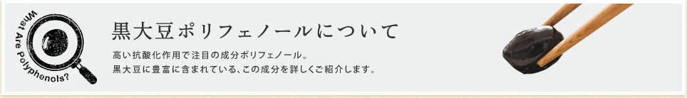 黒大豆ポリフェノールについて